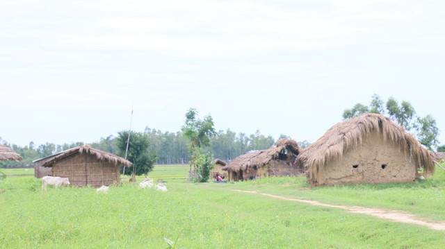 Photo20170717Bardiya