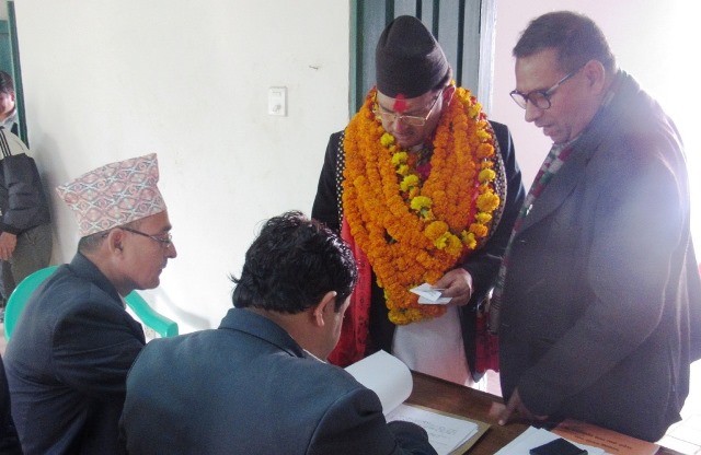 पाल्पा