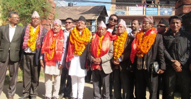पाल्पा