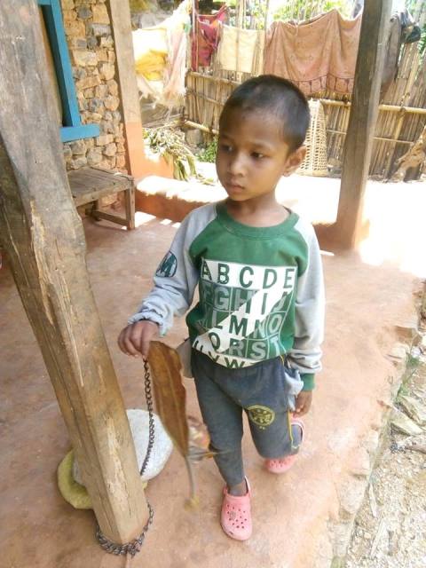 Photo20180527Palpa