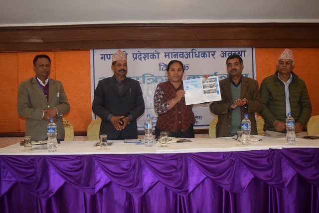 Photo20181129Kaski2