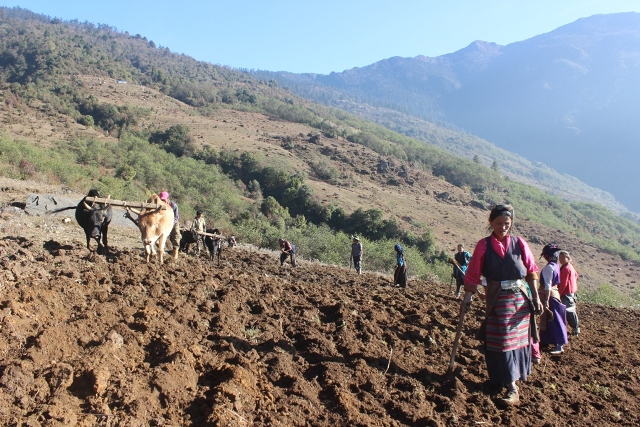 photo20181204sankhusabha (3)