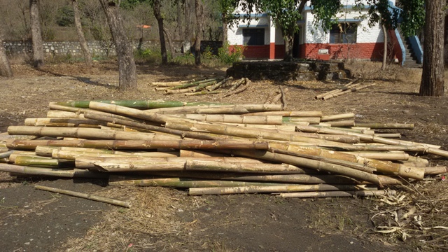 Photo20190130Myagdi01