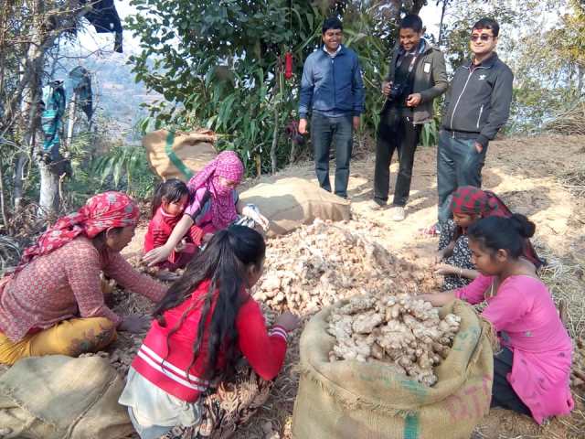 photo20190113palpa (1)