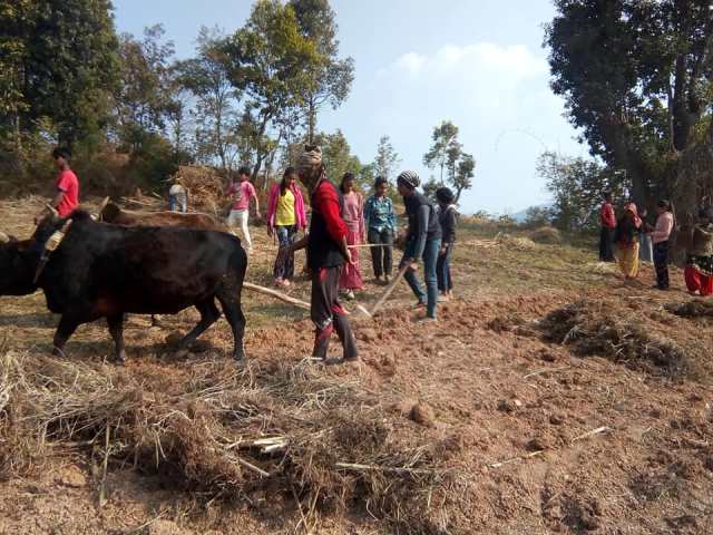 photo20190113palpa (2)