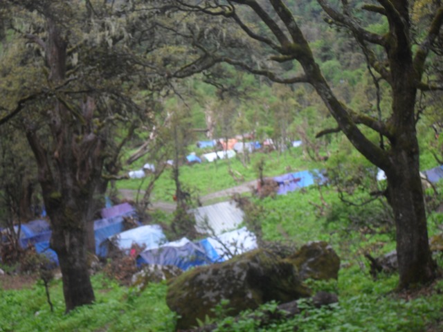 Photo20190604Darchula (10)