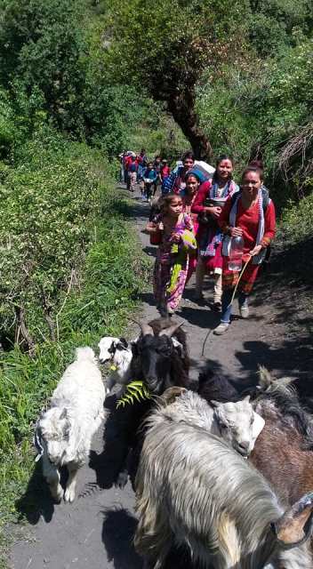 Photo20190604Darchula (7)