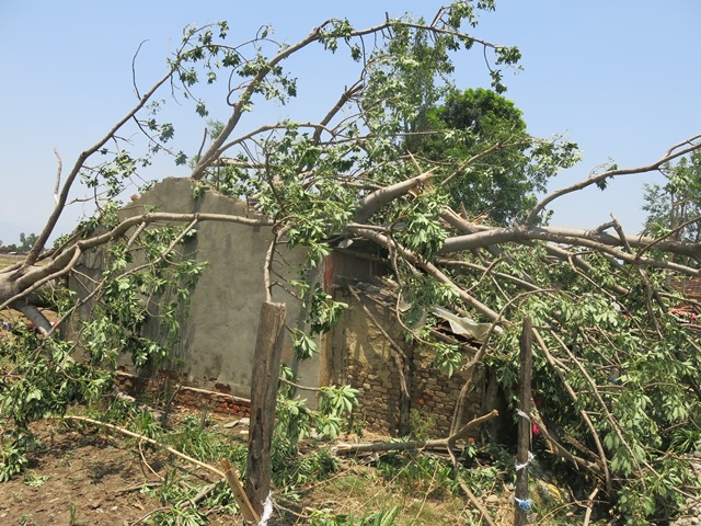 photo20190607kailali (13)