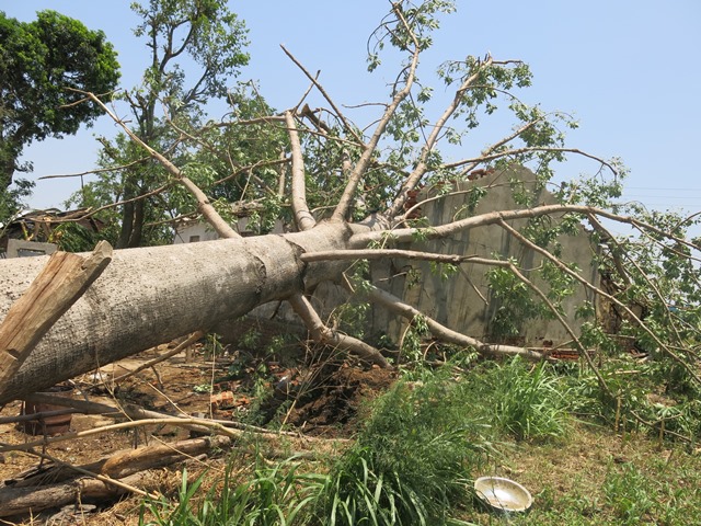 photo20190607kailali (14)