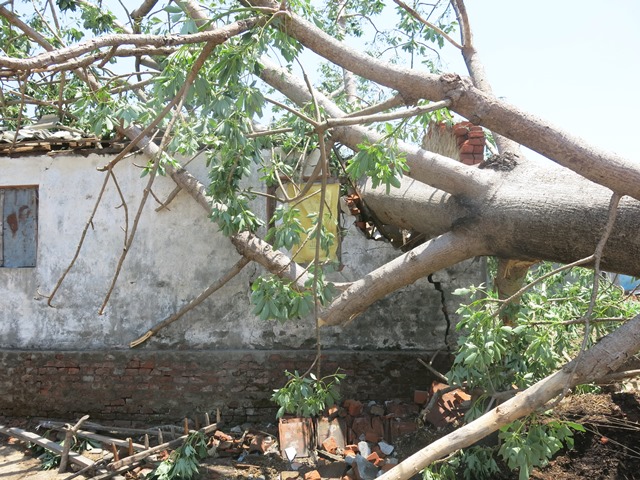 photo20190607kailali (15)