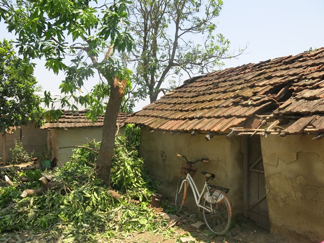 photo20190607kailali (3)
