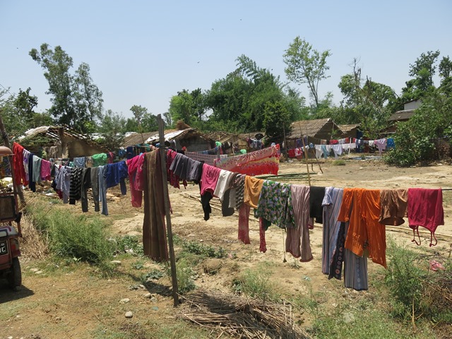 photo20190607kailali (9)