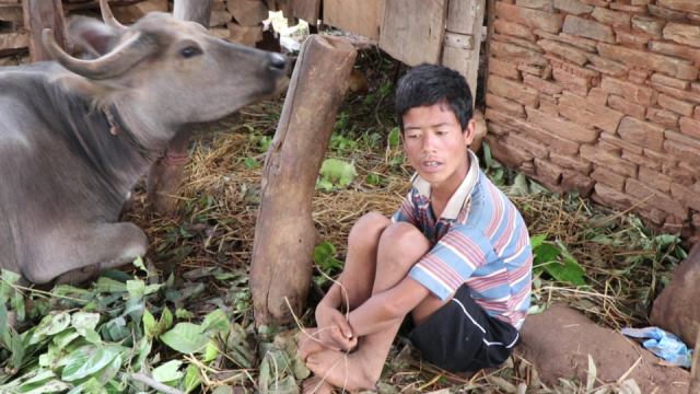 photo20190613gulmi (6)