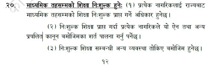 Photo20190806rolpa