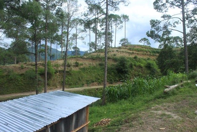 photo20190908dadeldhura (1)