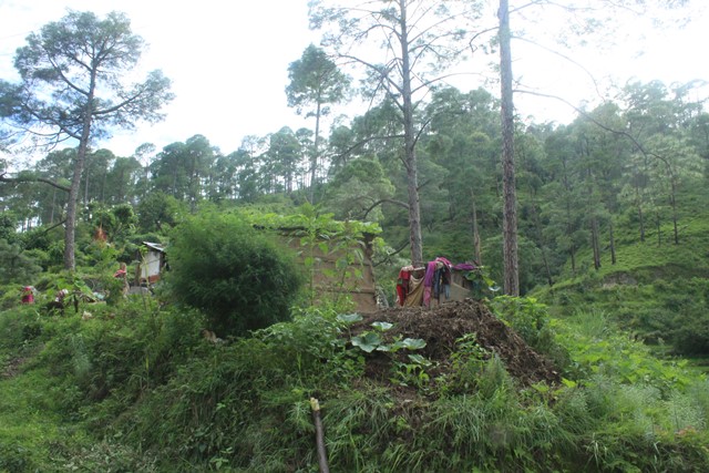 photo20190908dadeldhura (2)