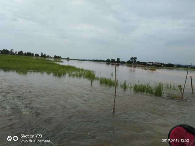 photo20190920udayapur (7)