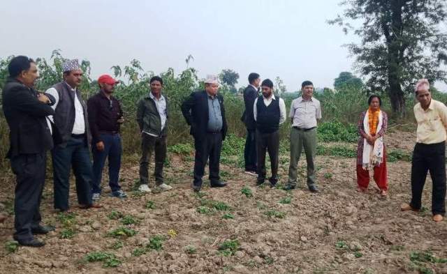 photo20191115kanchanpur