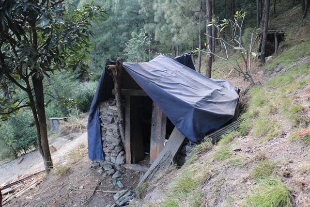 photo20191128myagdi1