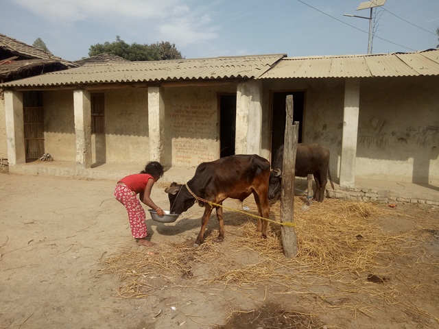 photo20200202mahottari (2)