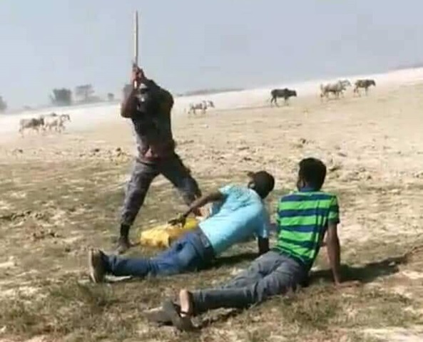 photo20200330saptari