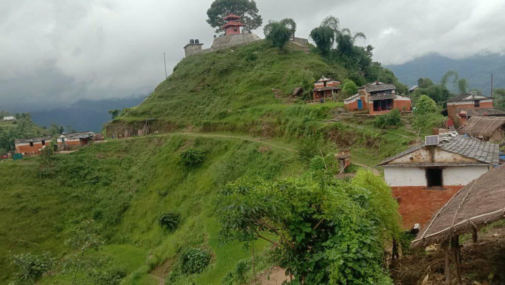 photo2020080402gulmi