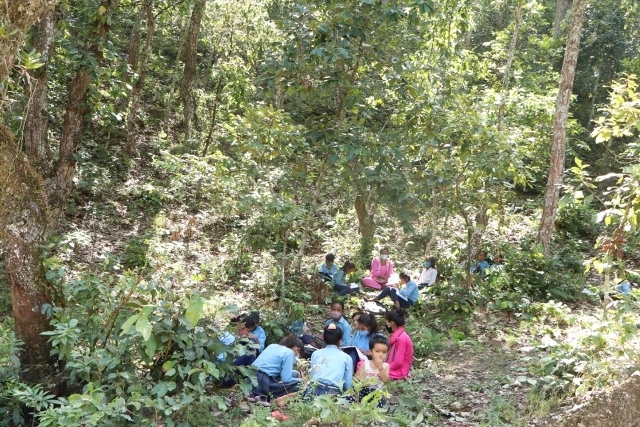 photo2020101201gulmi
