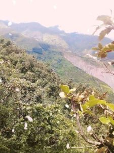 photo20210901bajura (3)