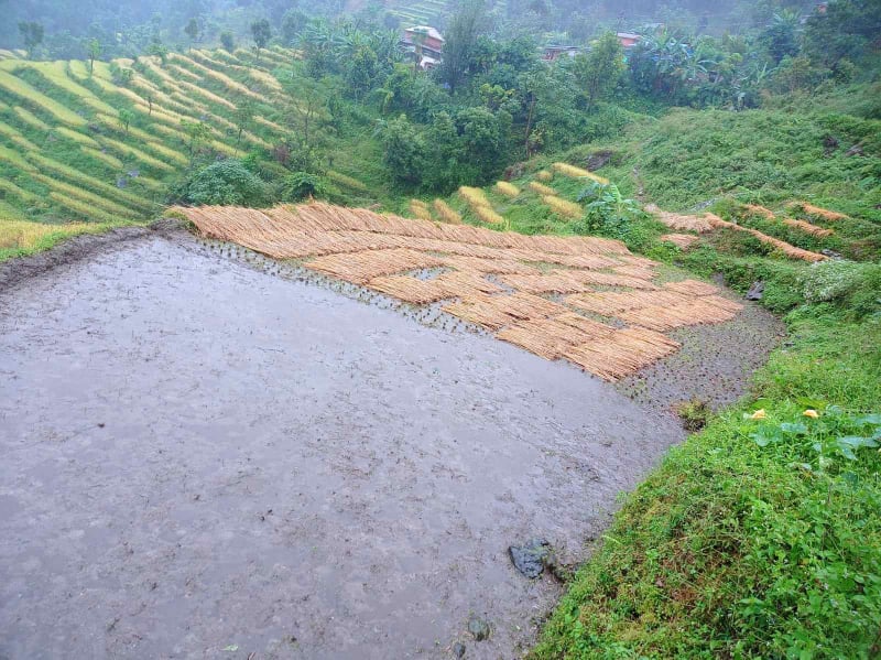 Photo20211020Kaski2
