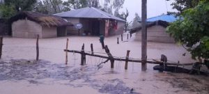 photo20211019kanchanpur (7)