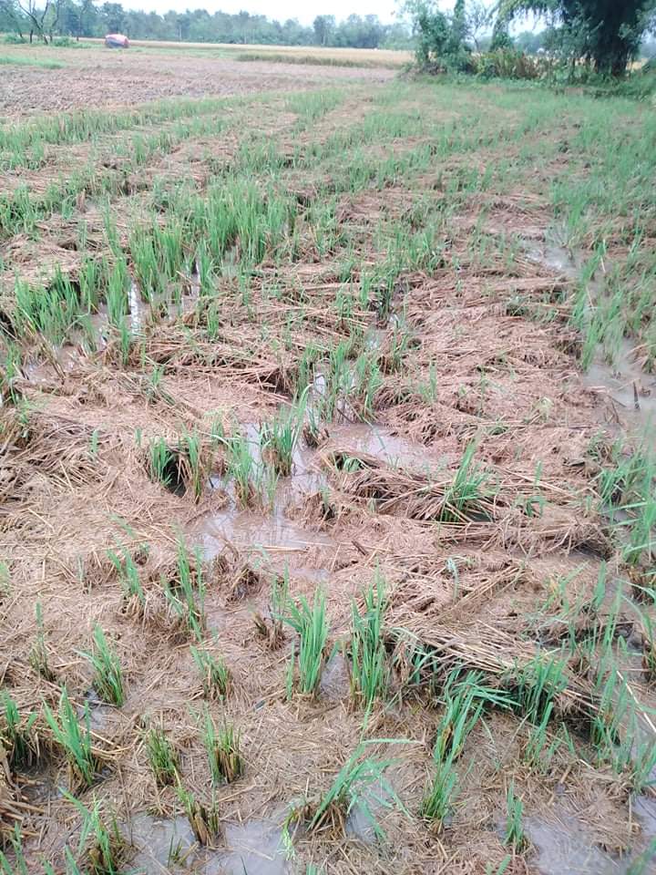 photo20211019rupandehi-1