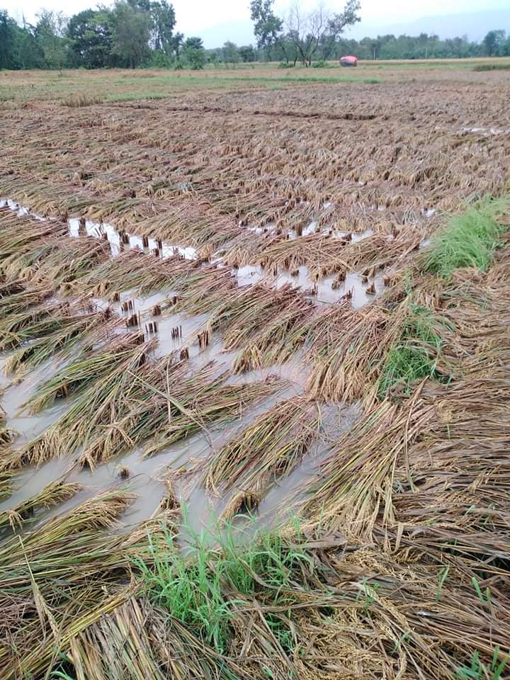 photo20211019rupandehi-2