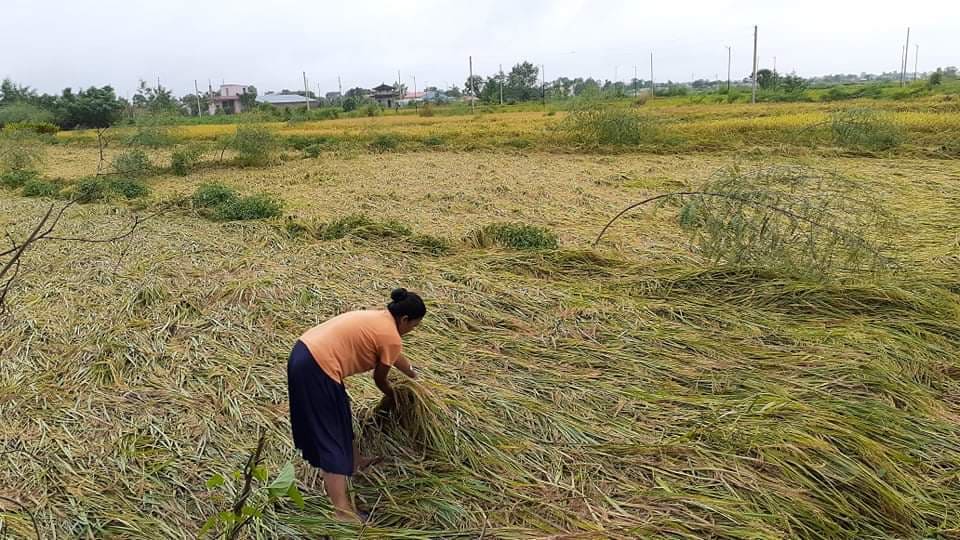 photo2021102002kapilvastu