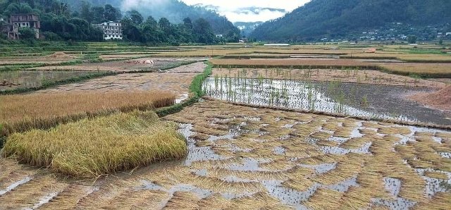 photo20211021 salyan 1