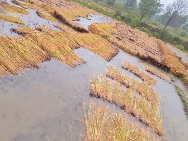 photo20211021 salyan 2