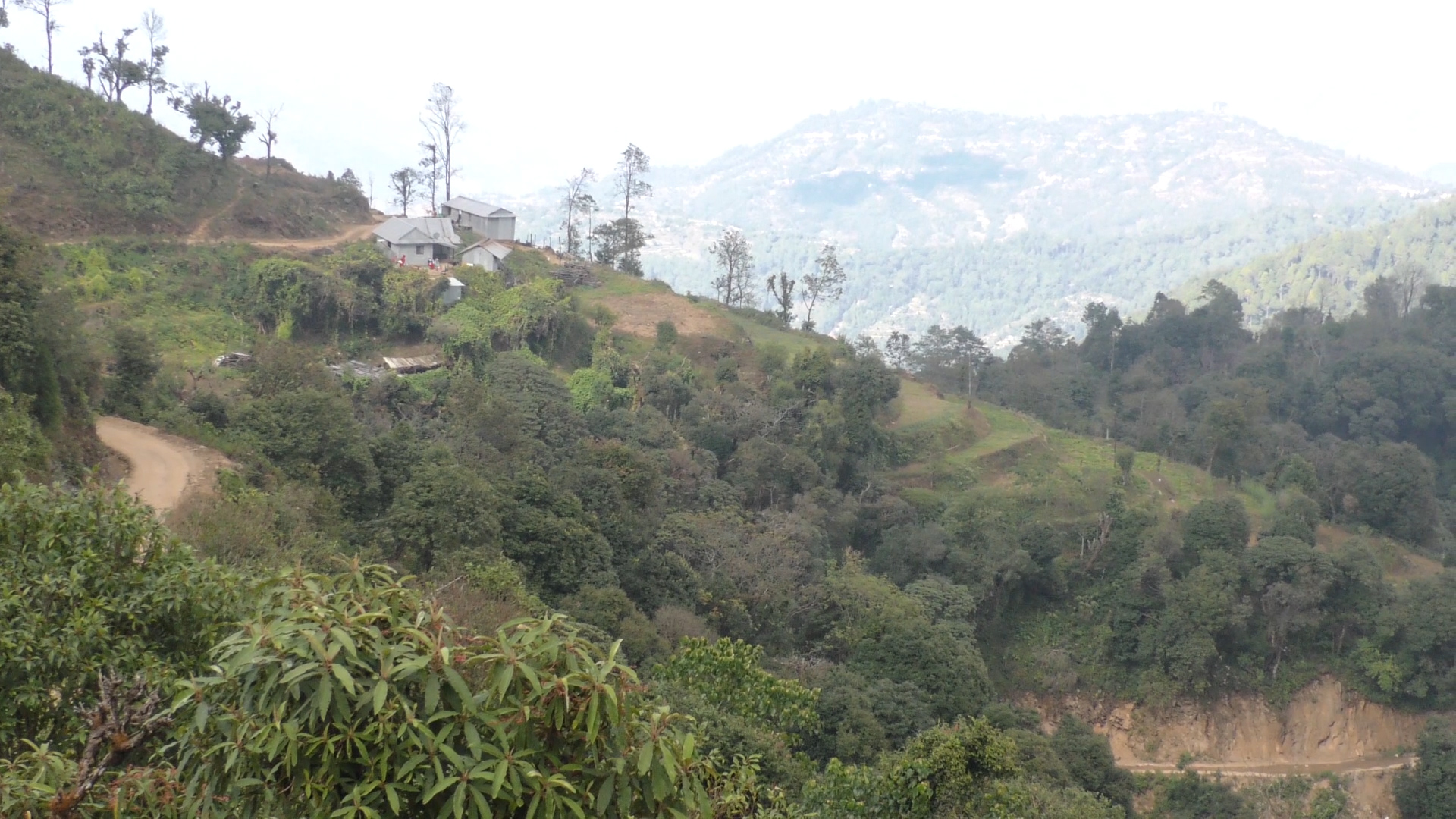Photo 20220105 Dhankuta (1)