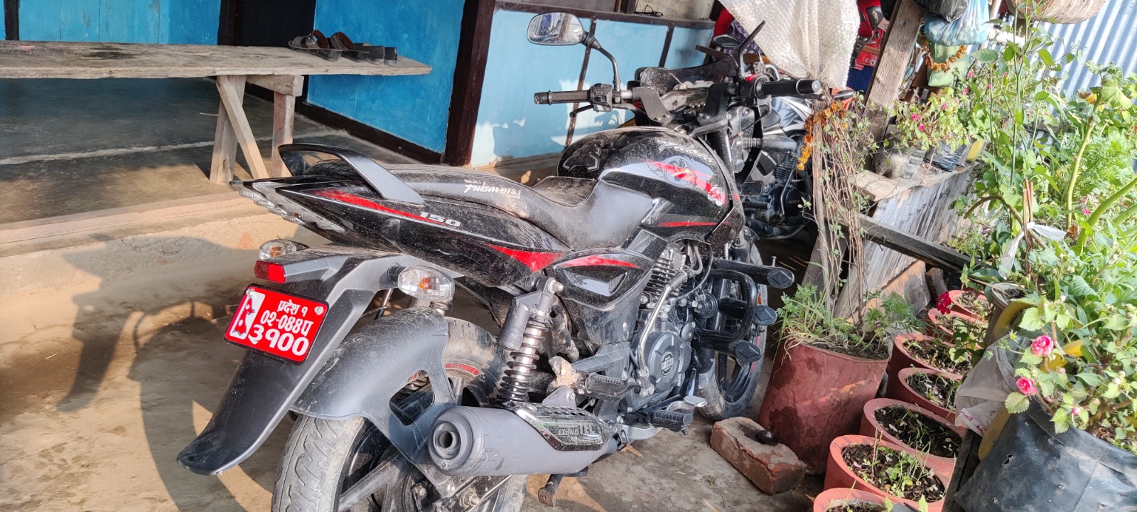 Photo 20220322 Morang (1)
