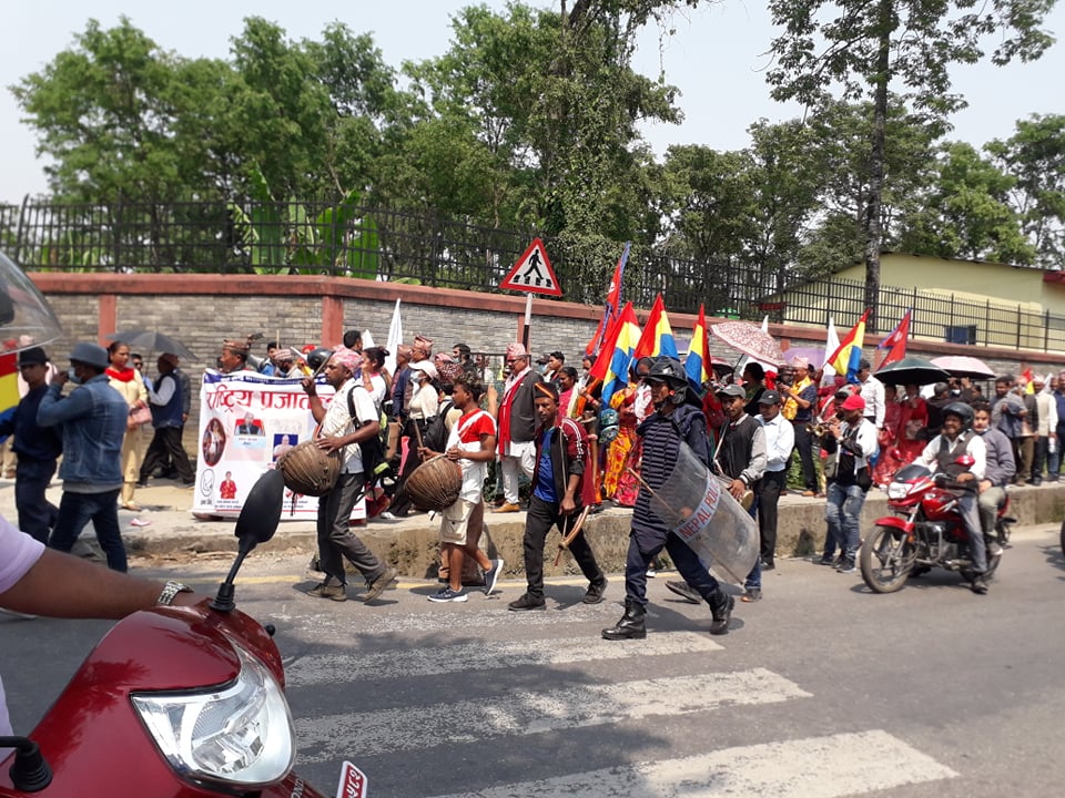 Photo20220425Kaski (2)