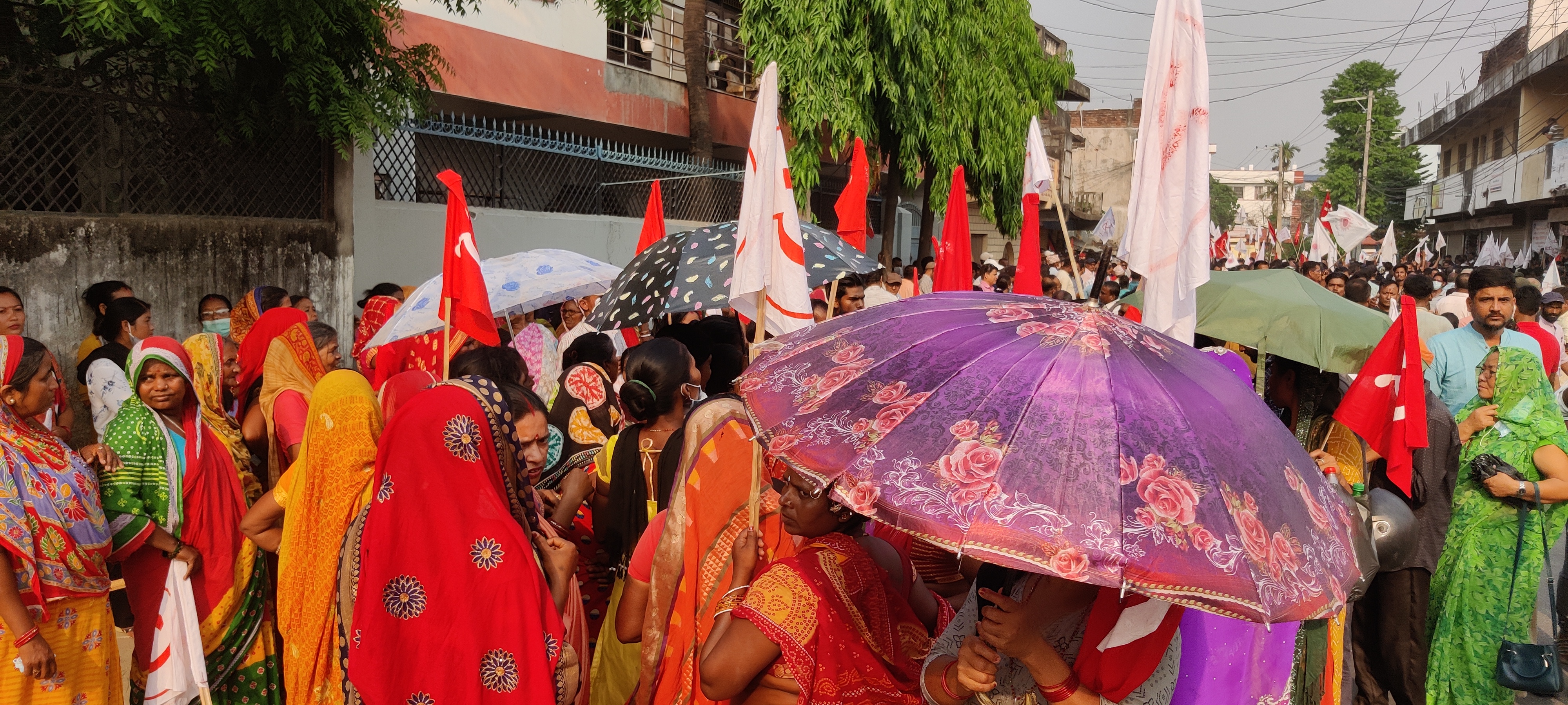 photo 20220425 Morang (31)