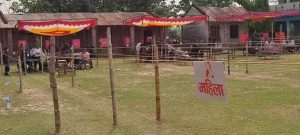 photo20220517kanchanpur (1)
