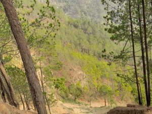 photo binod shahi202206008Achham (2)