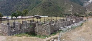 Photo20220816bajura
