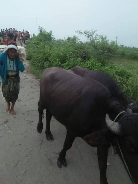 photo 20220803 Udayapur (10)