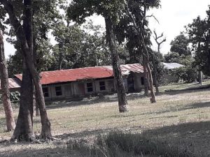 photo20220928kailali5