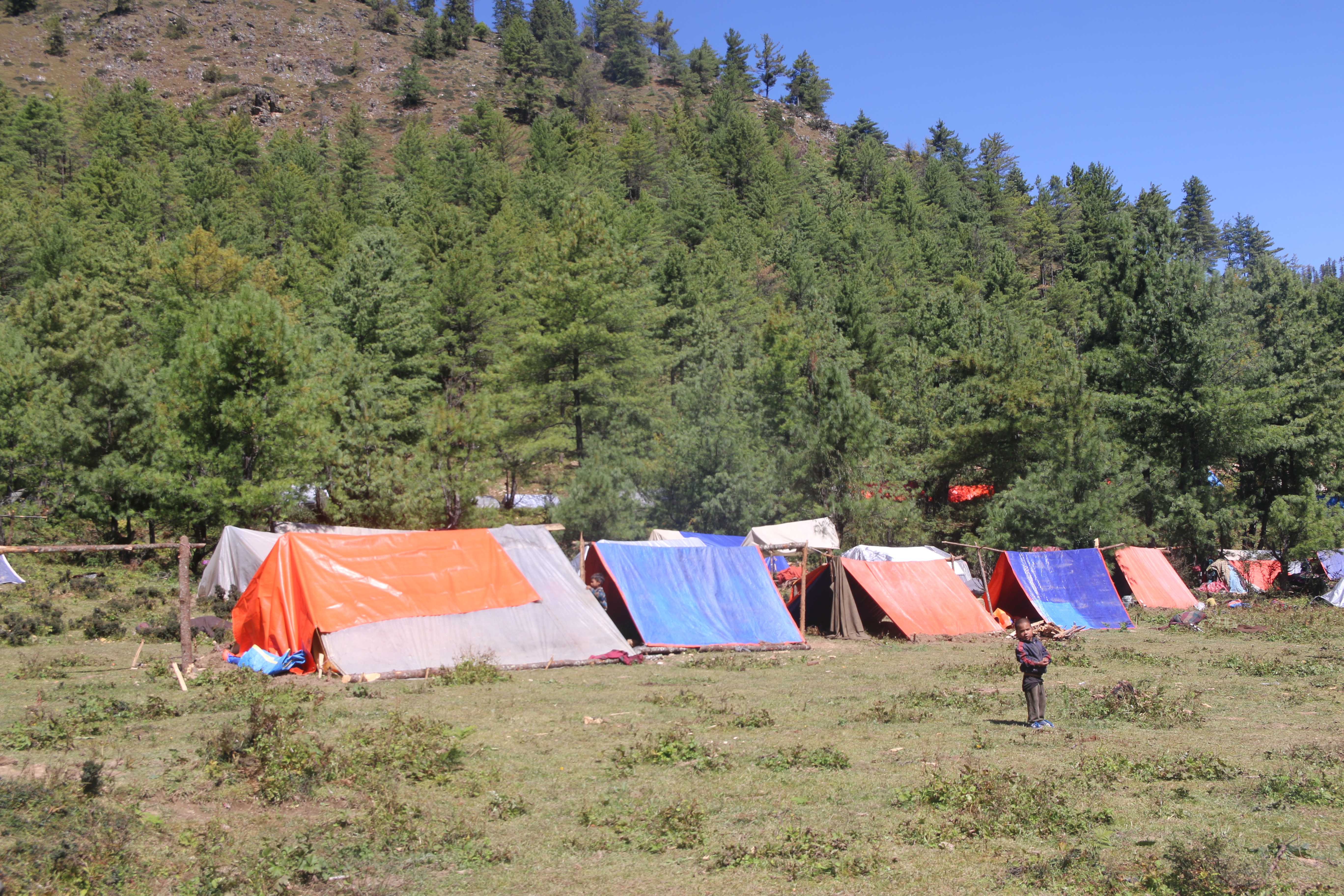 Muguphoto20221015 (4)