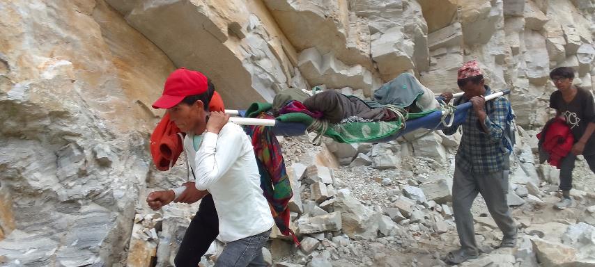 Photohumla20221026 (8)