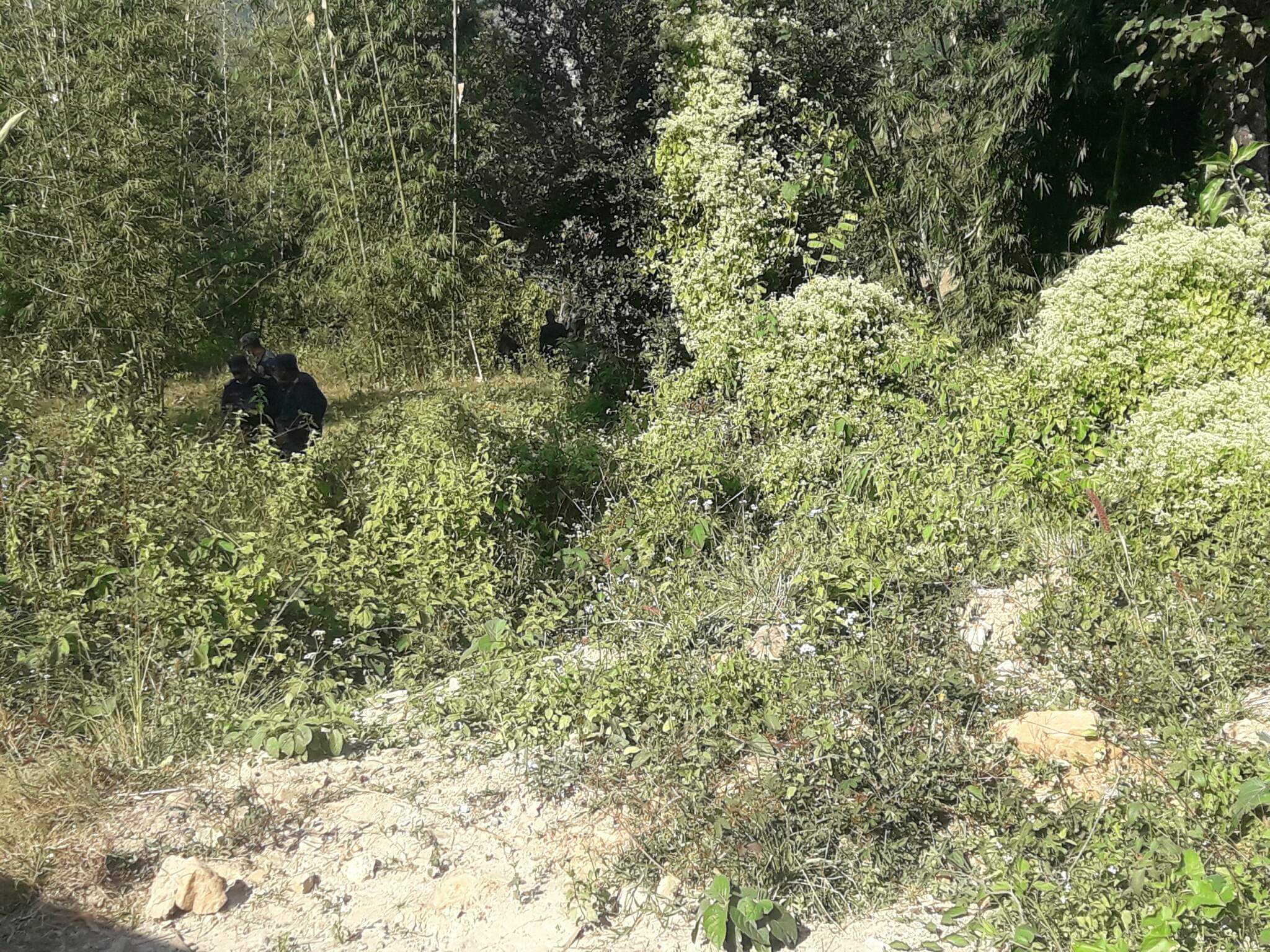 Photo 20221119 Udayapur (4)
