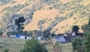 Photo20221111doti