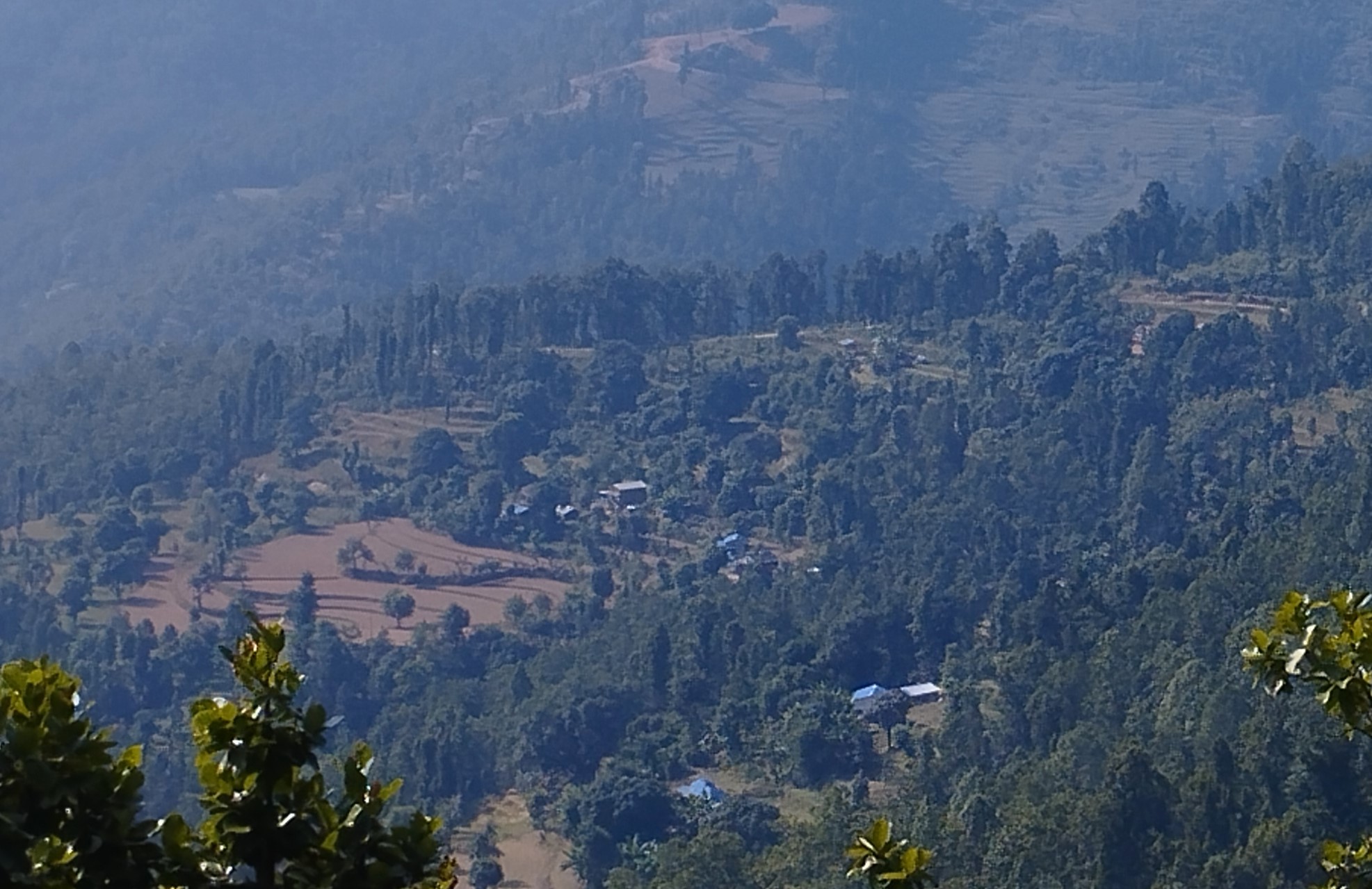 PhotoDailekh20221115 (2)