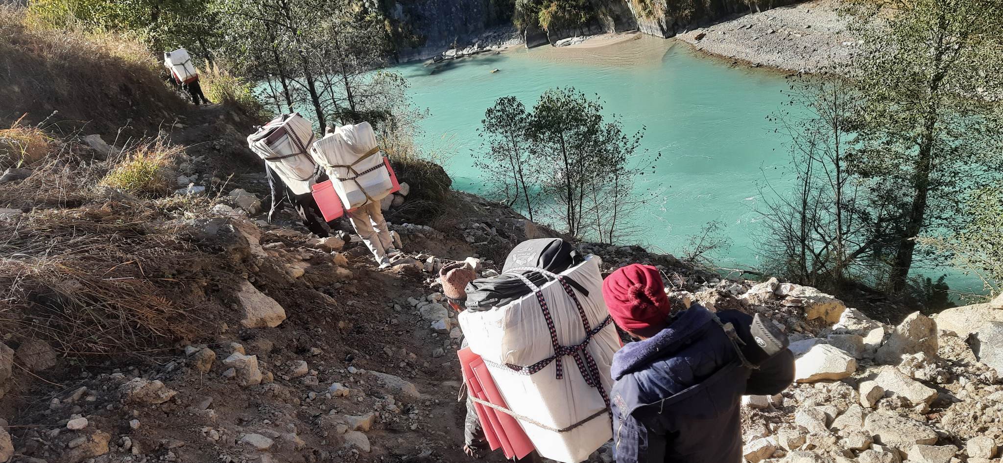 PhotoHumla20221118 (2)